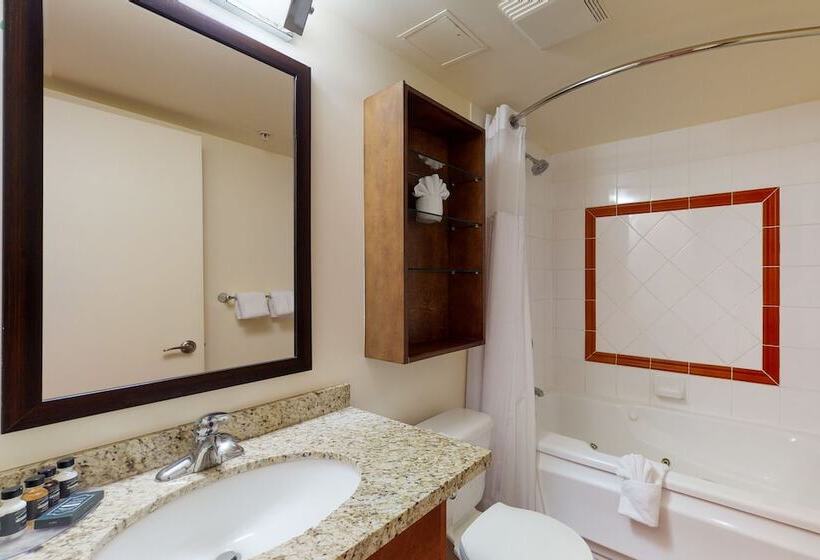 استودیوی استاندارد, Whistler Village Centre By Latour Hotels And Resorts