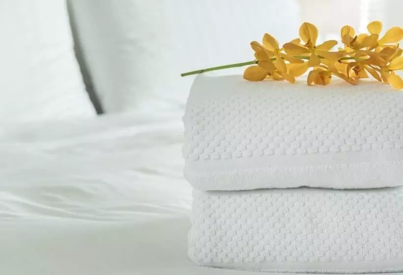 اتاق استاندارد با 2 تخت دوبل, Xecutive Inn And Suites