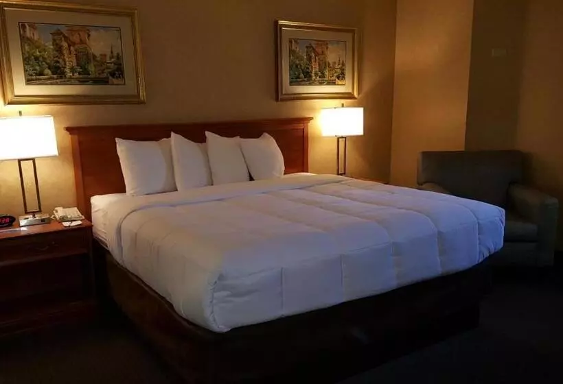 اتاق استاندارد با تخت بزرگ, Baymont By Wyndham Barstow Historic Route 66