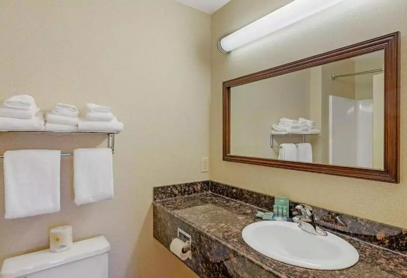 スタンダードルーム, Best Western North Roanoke