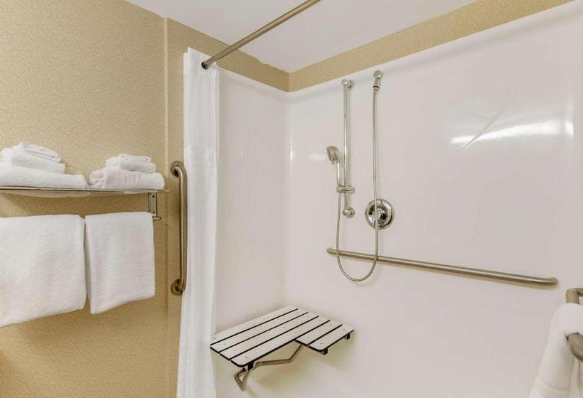 חדר סטנדרט, מיטת קינג, מותאם לאדם עם מוגבלויות, Best Western North Roanoke