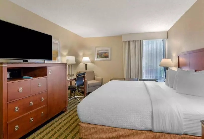 身障者適用キングサイズベッドルーム, Best Western North Roanoke