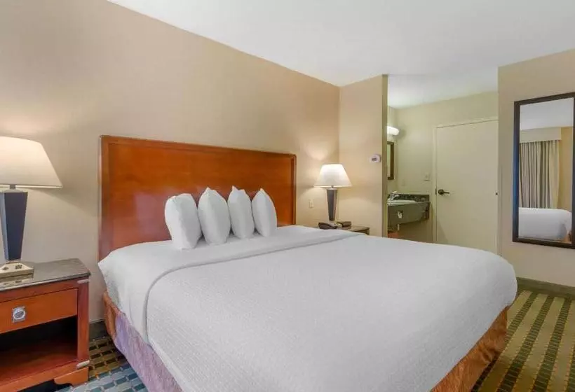 キングサイズベッドのスタンダードルーム, Best Western North Roanoke