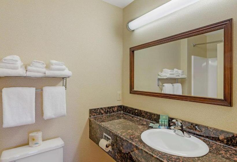 סוויטה עם מיטת קווין, Best Western North Roanoke