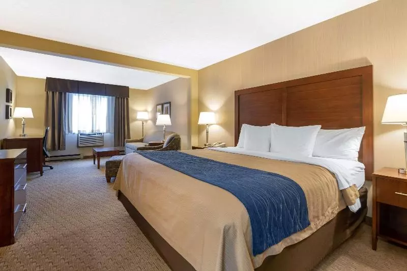 سوئیت با تخت بزرگ, Comfort Inn