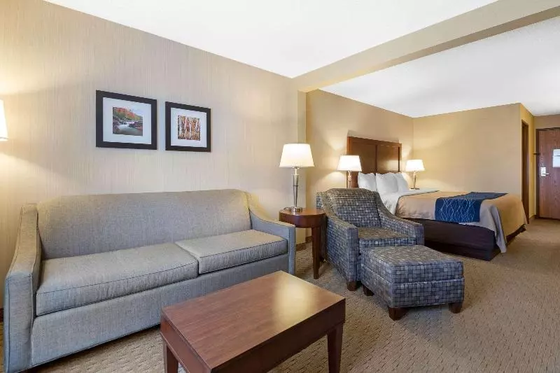 سوئیت با تخت بزرگ, Comfort Inn