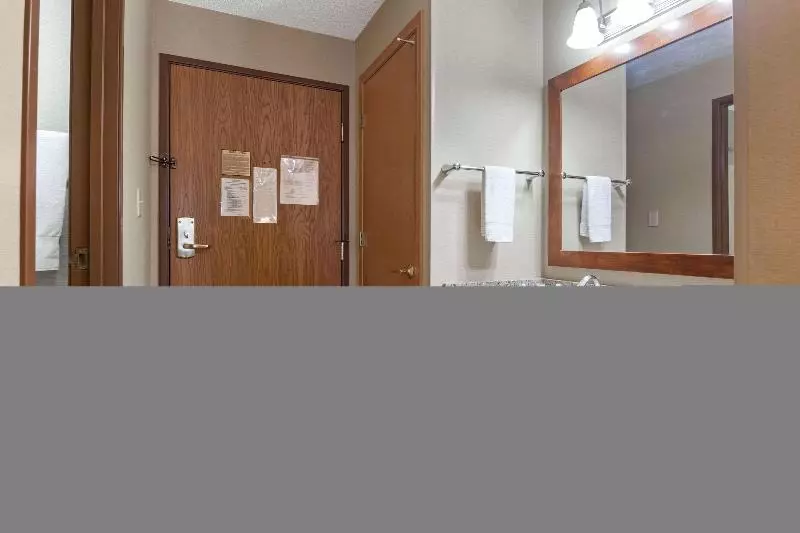 سوئیت با تخت بزرگ, Comfort Inn