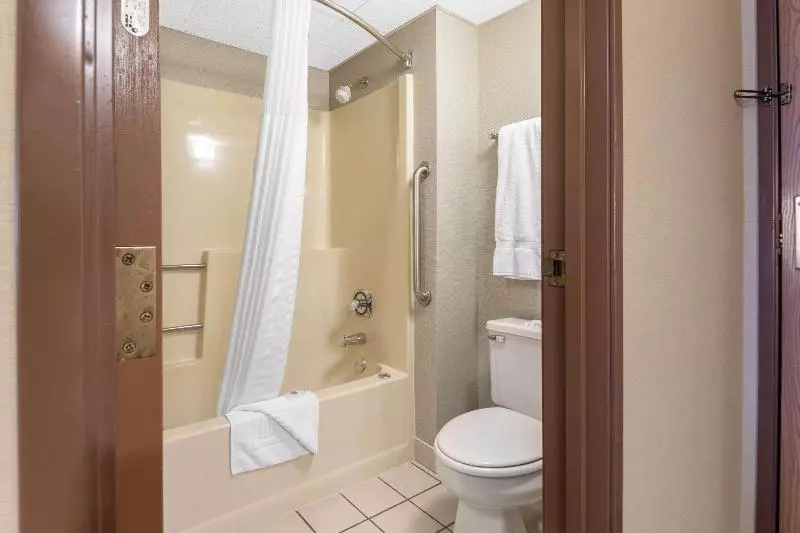سوئیت با تخت بزرگ, Comfort Inn