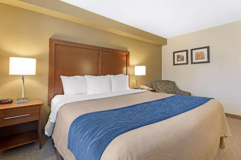 اتاق استاندارد, Comfort Inn
