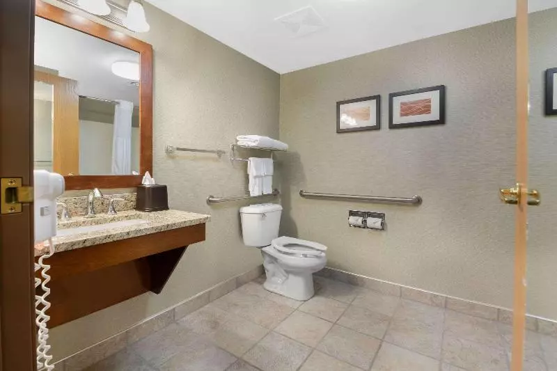 اتاق استاندارد با تخت بزرگ, Comfort Inn