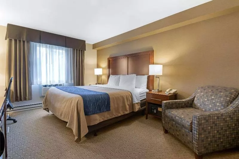 اتاق استاندارد با تخت بزرگ, Comfort Inn