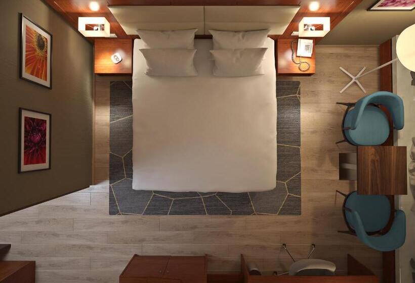 스탠다드 룸 킹사이즈 침대, Crowne Plaza Maastricht, An Ihg