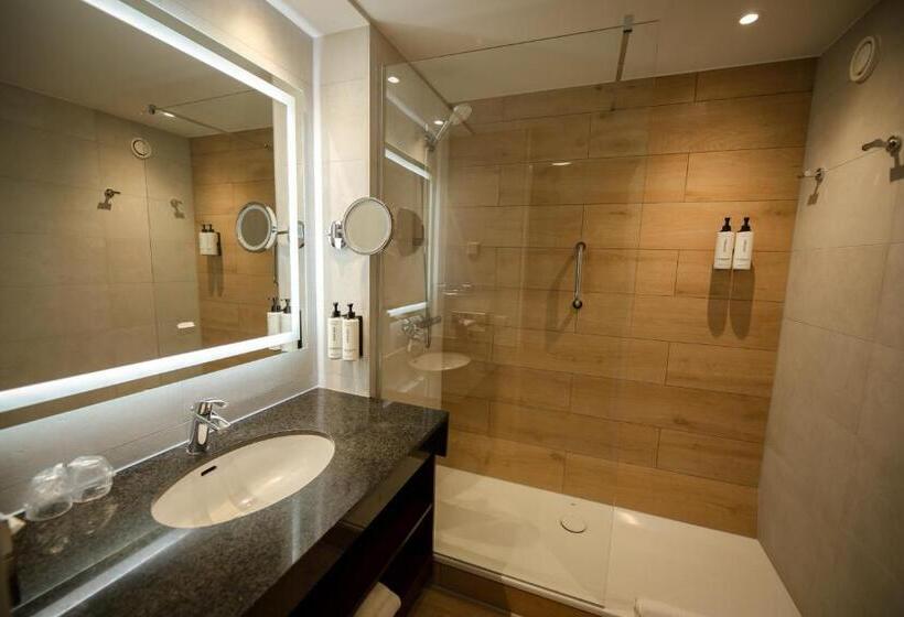 스탠다드 룸 킹사이즈 침대, Crowne Plaza Maastricht, An Ihg