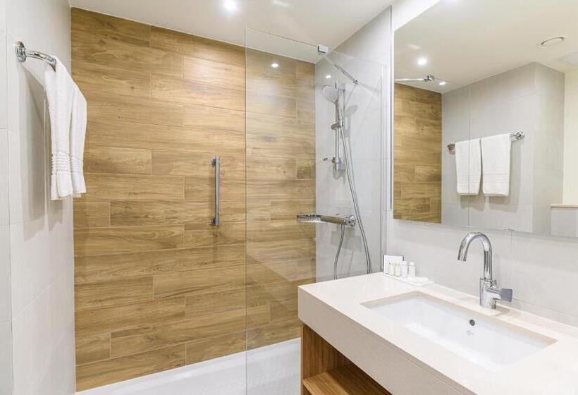 اتاق پرمیوم, Crowne Plaza Maastricht, An Ihg