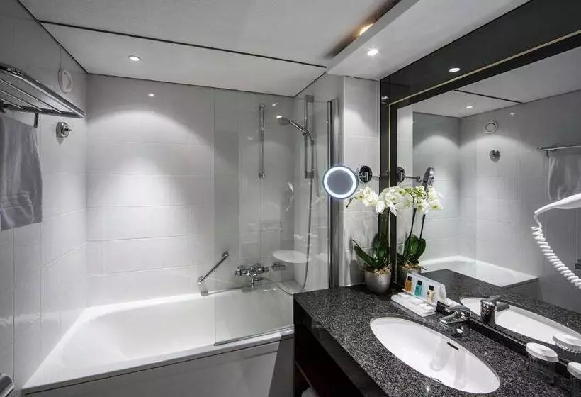 プレミアムルーム, Crowne Plaza Maastricht, An Ihg