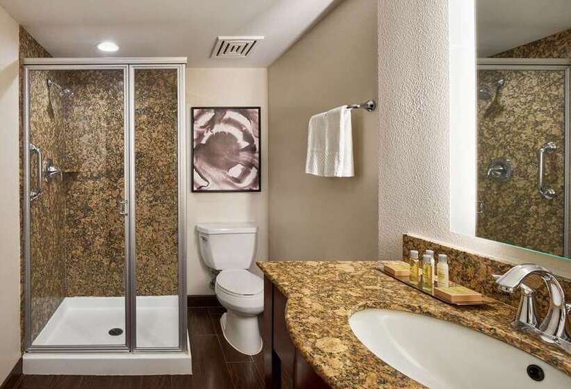 스탠다드 룸 킹사이즈 침대, Doubletree By Hilton Newark Penn Station