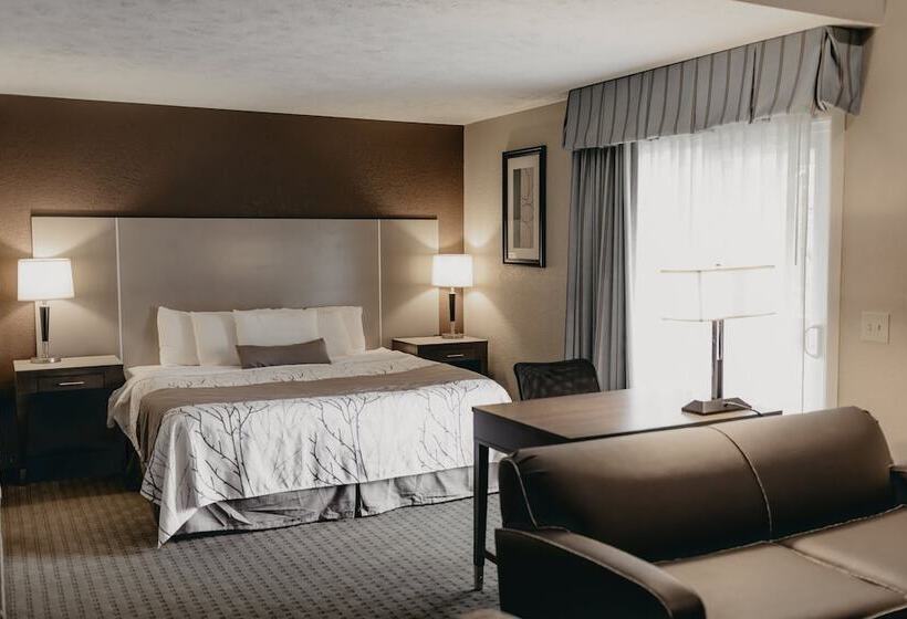 إستوديو قياسى سرير كينج, Eastland Suites Hotel & Conference Center