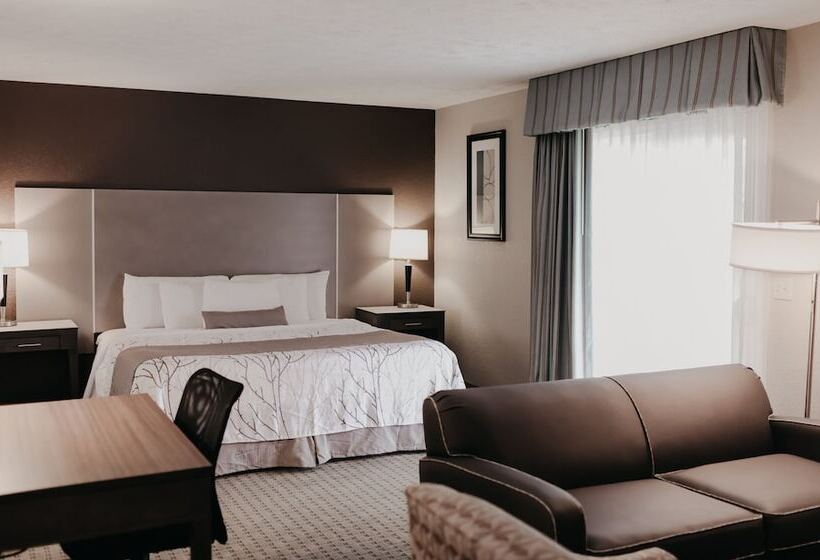 إستوديو قياسى سرير كينج, Eastland Suites Hotel & Conference Center