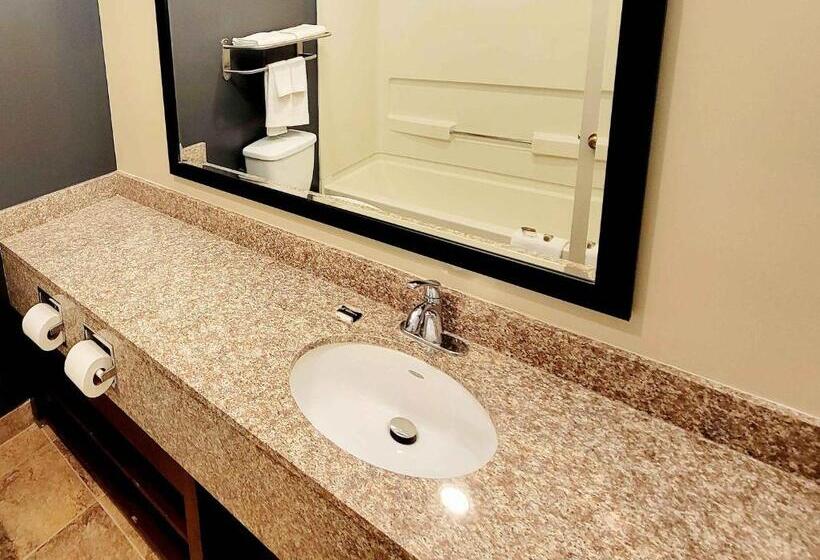 غرفة ديلوكس سرير كينج, Extended Stay America Suites   Buffalo   Airport