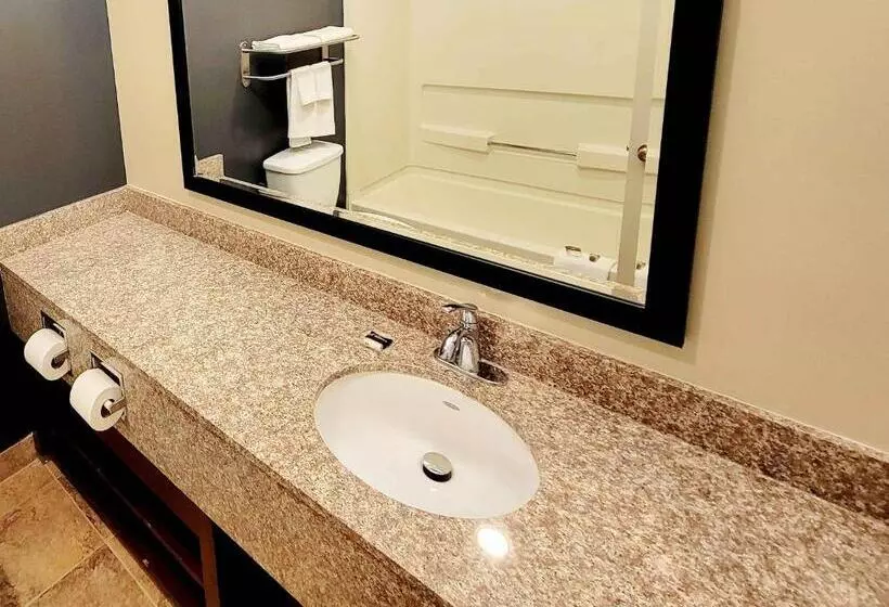 اتاق لوکس با تخت بزرگ, Extended Stay America Suites   Buffalo   Airport