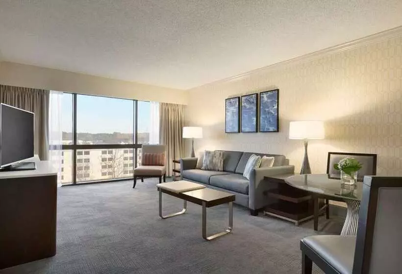 キングサイズベッドのスイートルーム, The Park Hotel At Meadowlands