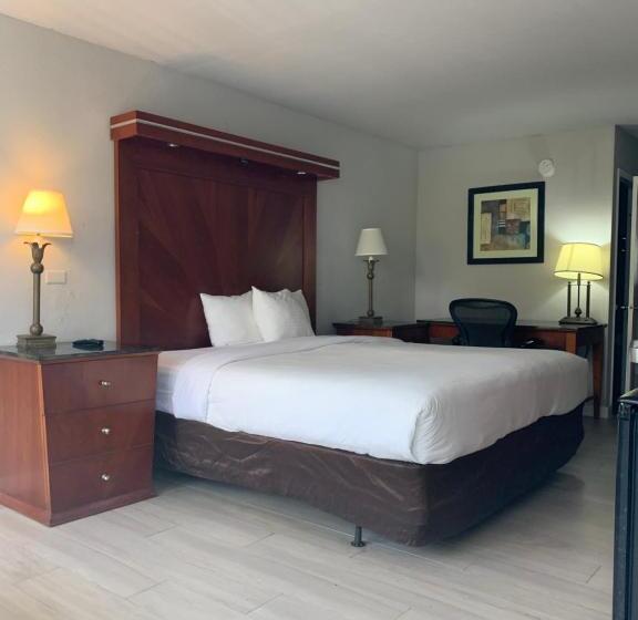 Стандартный Номер Кровать Кинг, Hotolos Hollywood