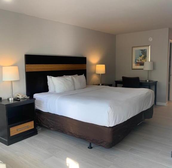 Стандартный Номер Кровать Кинг, Hotolos Hollywood