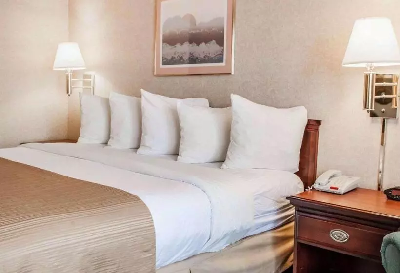 Standard-huone King-vuode, Quality Inn