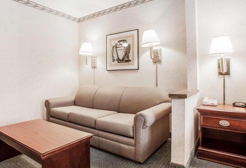 带大床的标准间, Quality Inn