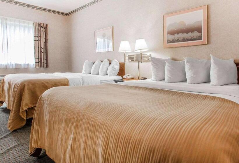 标准间, Quality Inn