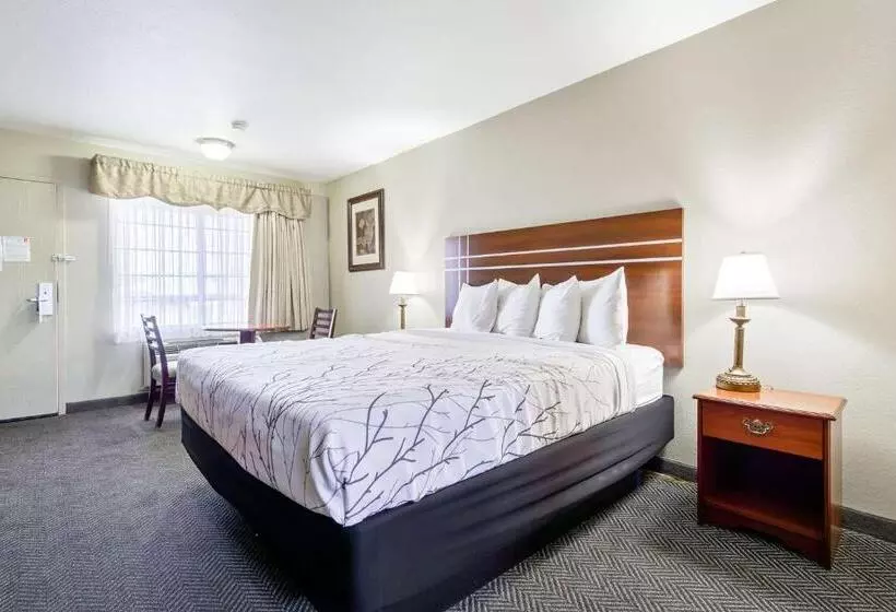 اتاق استاندارد یک نفره, Rancho San Diego Inn & Suites