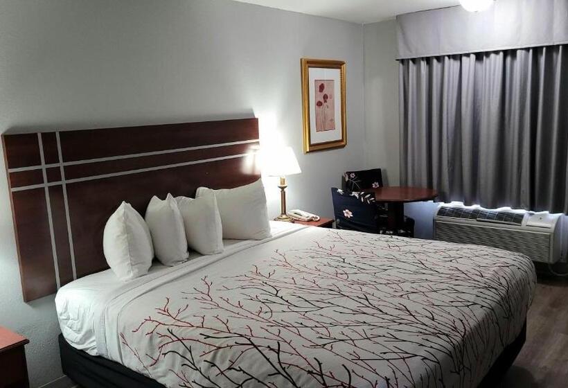 غرفة قياسية فردية, Rancho San Diego Inn & Suites