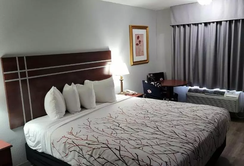 اتاق استاندارد یک نفره, Rancho San Diego Inn & Suites