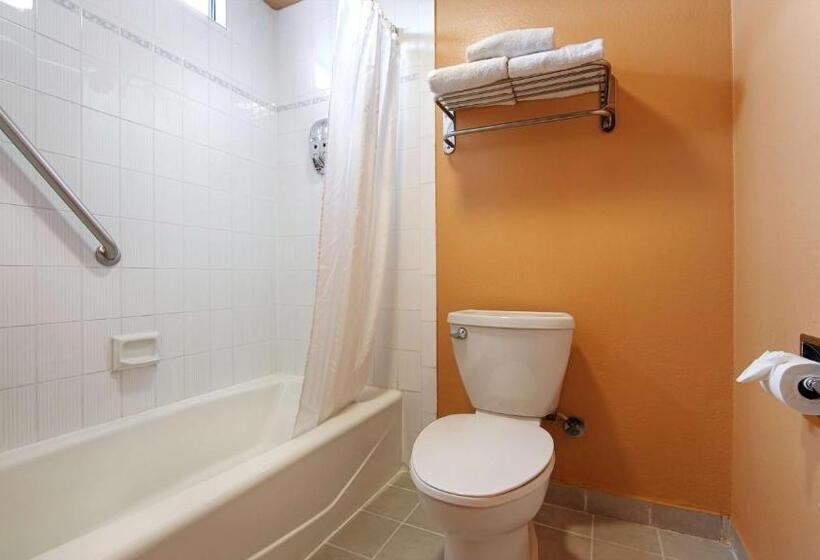 标准单人间, Rancho San Diego Inn & Suites