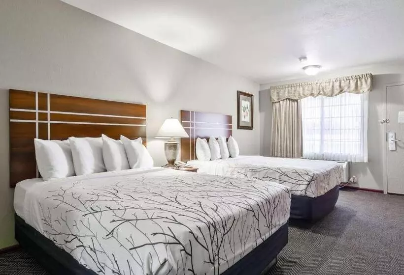 سوئیت 2 خوابه, Rancho San Diego Inn & Suites