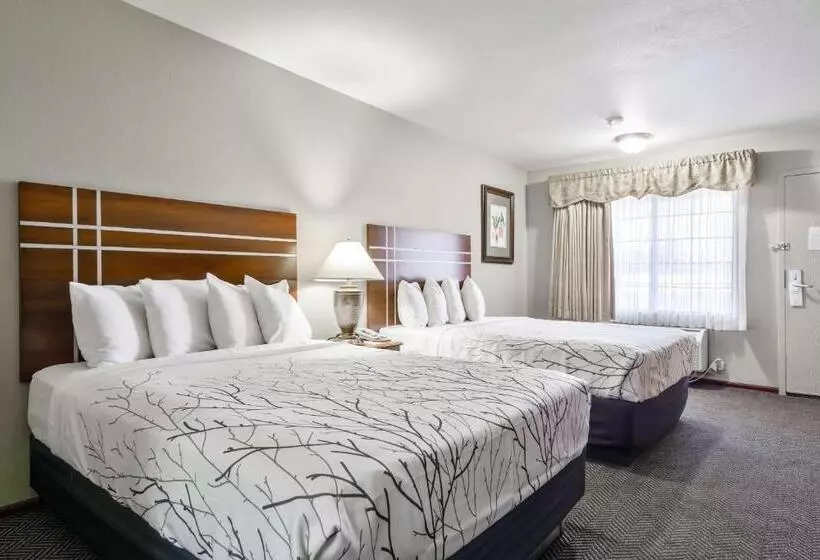 سوئیت 2 خوابه, Rancho San Diego Inn & Suites