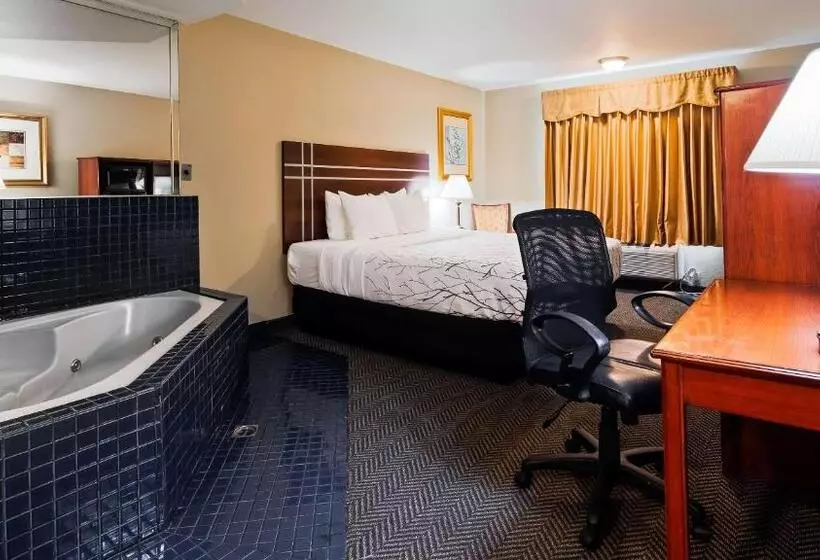 اتاق استاندارد با تخت بزرگ, Rancho San Diego Inn & Suites