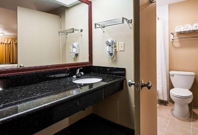 غرفة قياسية سرير كينج لذوى الإحتياجات الخاصة, Rancho San Diego Inn & Suites