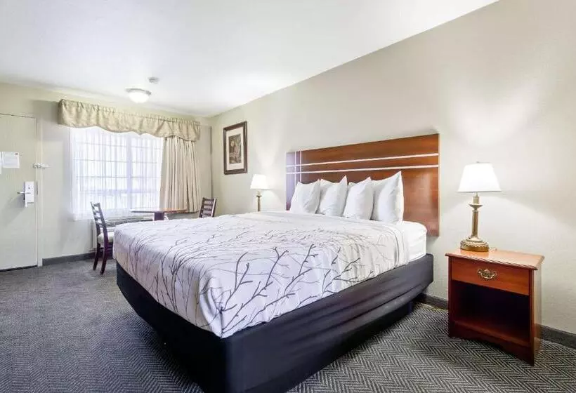 اتاق استاندارد با تخت بزرگ برای معلولان, Rancho San Diego Inn & Suites