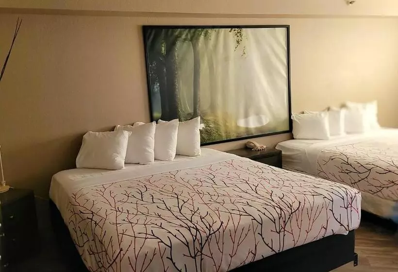 سوییت اجرایی, Rancho San Diego Inn & Suites