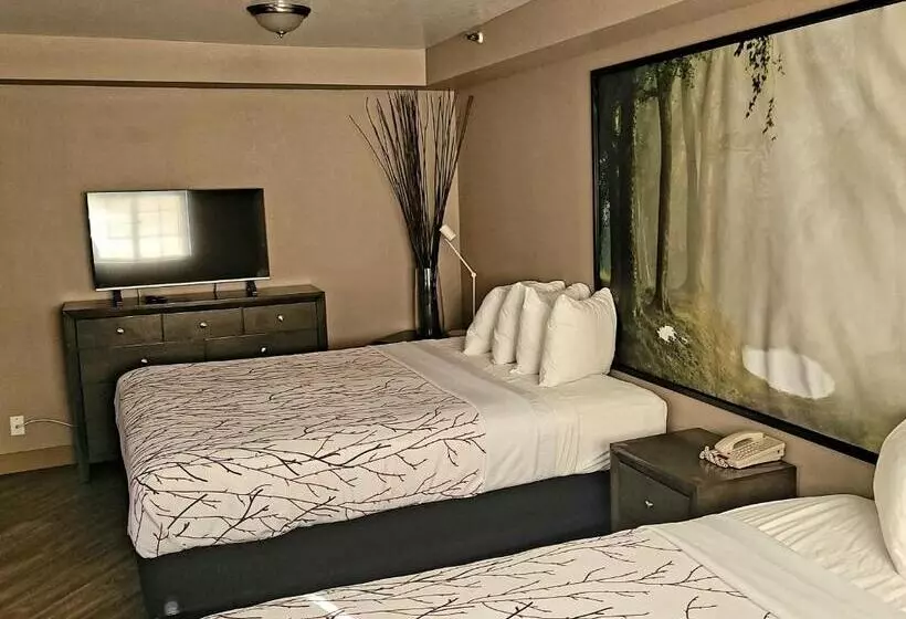 سوییت اجرایی, Rancho San Diego Inn & Suites
