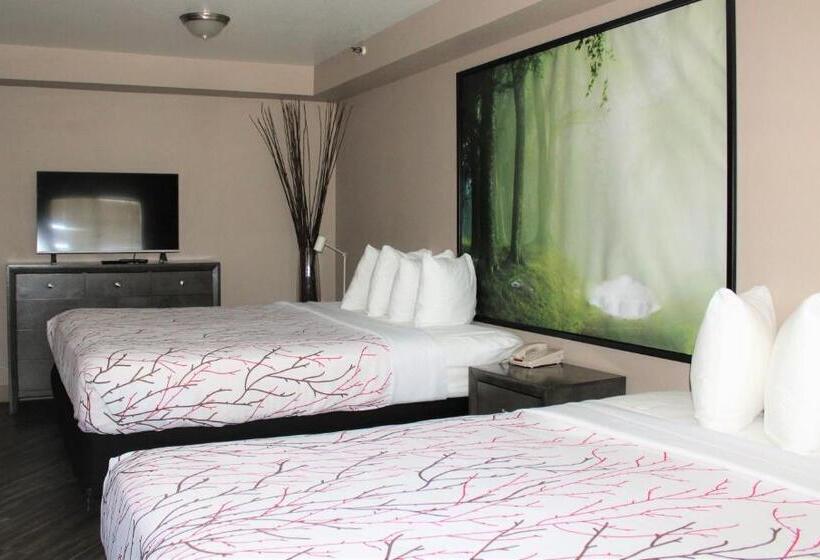 جناح إدارى, Rancho San Diego Inn & Suites