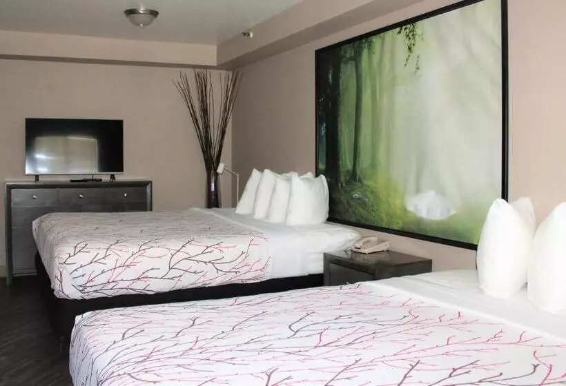 سوییت اجرایی, Rancho San Diego Inn & Suites