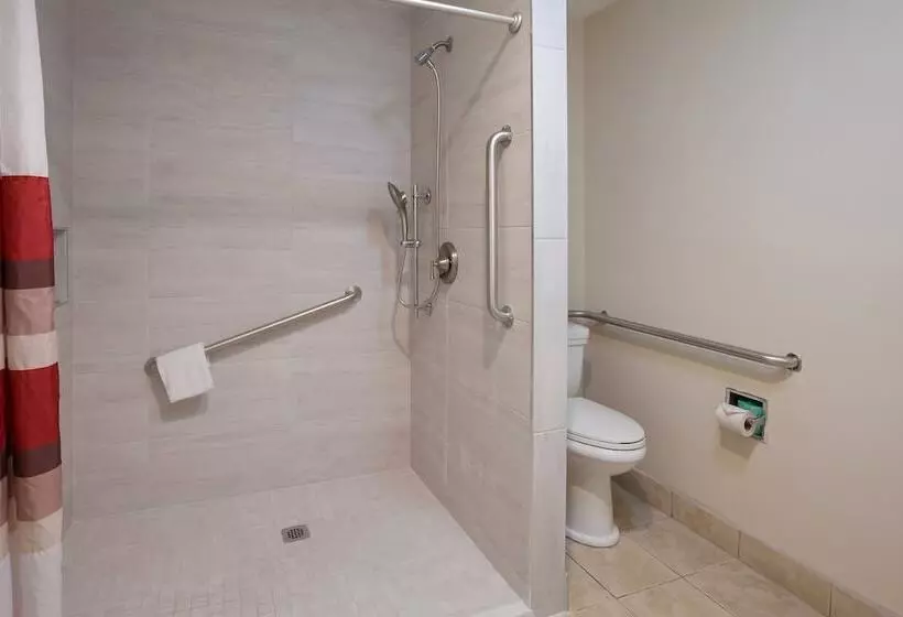 障害者適応デラックスルーム, Red Roof Inn Dillon, Sc