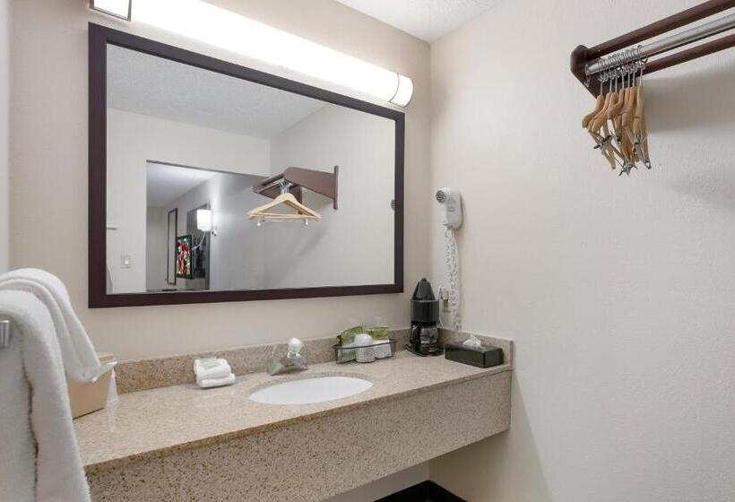 غرفة ديلوكس سرير كينج, Red Roof Inn Dillon, Sc