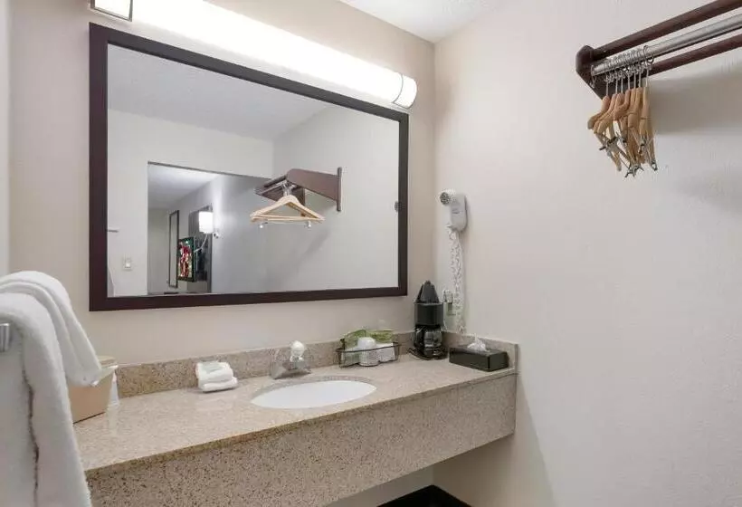 キングサイズベッドのデラックスルーム, Red Roof Inn Dillon, Sc