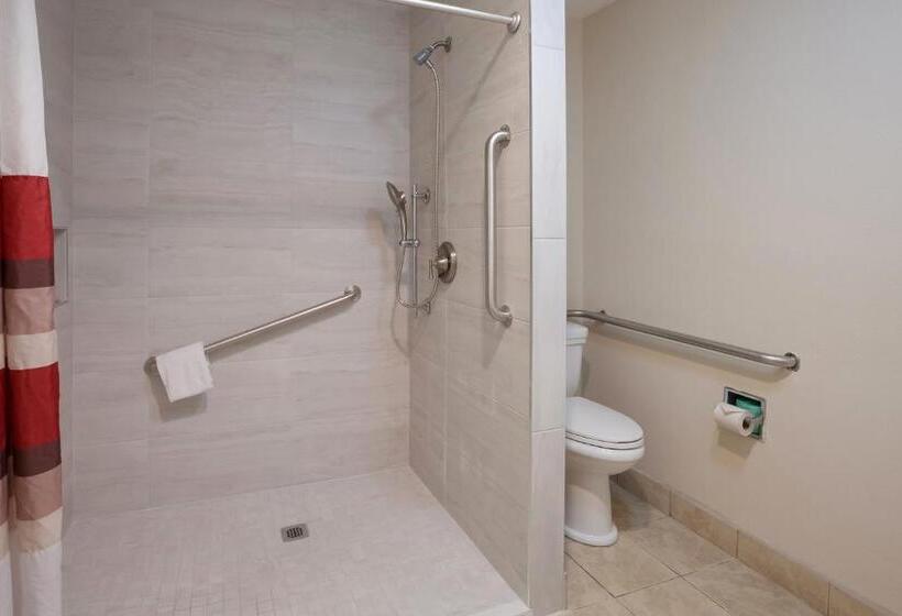 Quarto Superior para Deficientes, Red Roof Inn Dillon, Sc