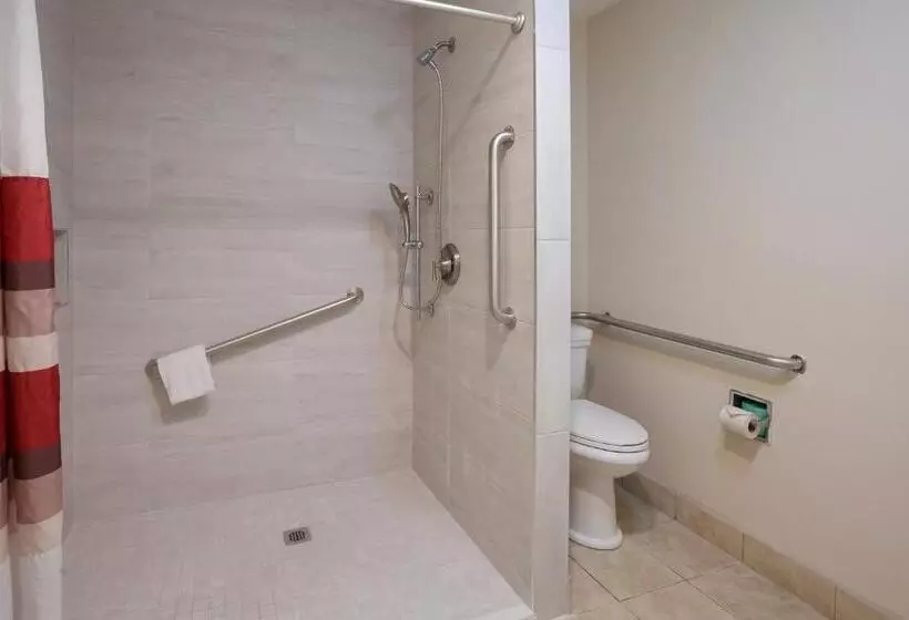 身障者適用スーペリアールーム, Red Roof Inn Dillon, Sc