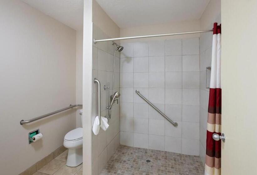 غرفة سوبيريور لذوى الاحتياجات الخاصة, Red Roof Inn Dillon, Sc