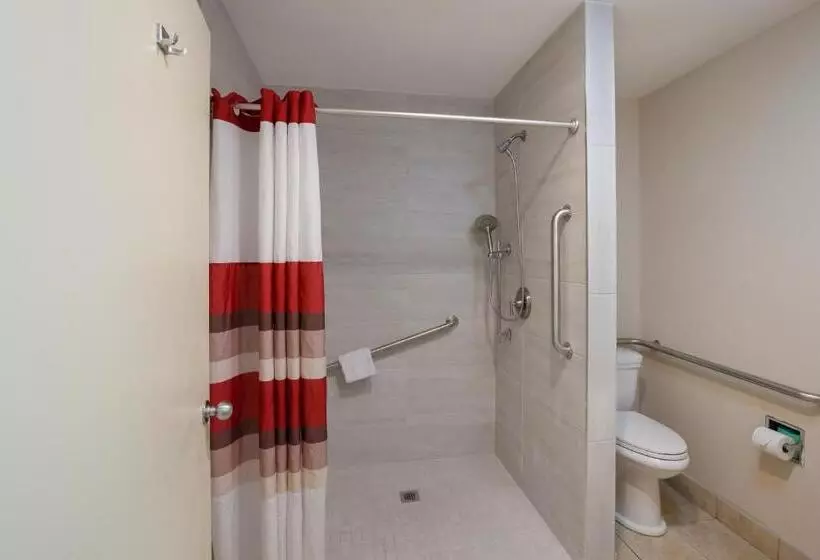 身障者適用スーペリアールーム, Red Roof Inn Dillon, Sc